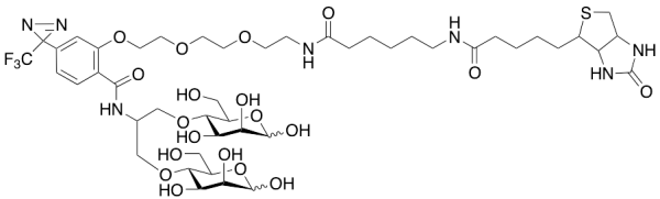 N-[2-[2-[2-[(N-Biotinyl-caproylamino)-ethoxy)ethoxyl]-4-[2-(trifluoromethyl)-3H-diazirin-3-yl]benzoyl]-1,3-bis(mannopyranosyl-4-yloxy)-2-propylamine