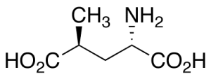 (2S,4S)-4-Methylglutamic Acid