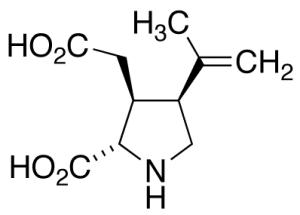 rac Kainic Acid