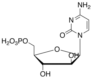 Cytarabine 5’-Monophosphate