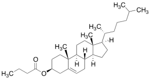 Cholesteryl N-Butyrate