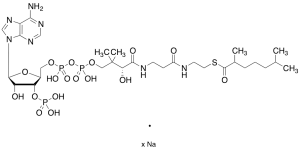 2,6-Dimethylheptanoyl-CoA Sodium Salt