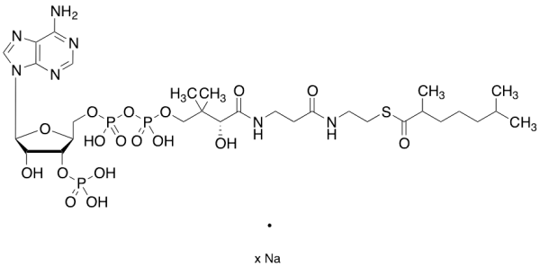2,6-Dimethylheptanoyl-CoA Sodium Salt