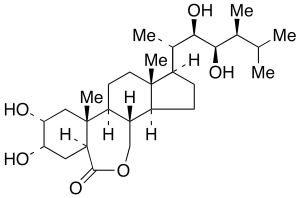 Brassinolide >90%