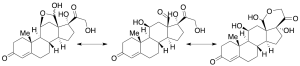 18-Oxocortisol