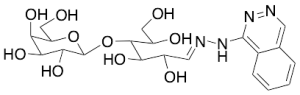 Lactose N-(Phthalazin-8-yl)-hydrazone