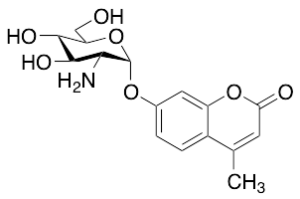 4-Methylumbelliferyl 2-Amino-2-deoxy-Alpha-D-glucopyranoside (>90%)