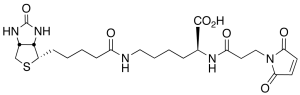 3-(N-Maleimidylpropionyl)biocytin