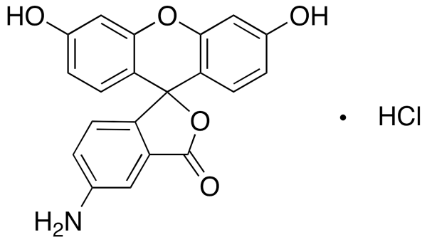 Fluoresceinamine Hydrochloride Isomer 1