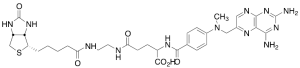 Methotrexyl-N’-biotinylethylenediamine