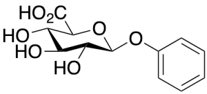 Phenyl b-D-Glucuronide
