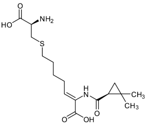 Cilastatin