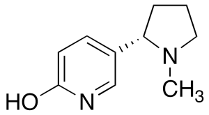 (S)-6-Hydroxy Nicotine