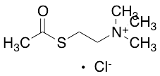 Acetylthiocholine Chloride
