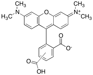 5(6)-Carboxytetramethylrhodamine (Technical Grade)