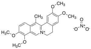 Dehydrocorydaline nitrate