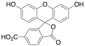 6-Carboxyfluorescein