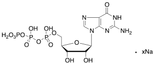 Guanosine 5'-(tetrahydrogen triphosphate) Sodium Salt (>80%)