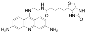 Acriflavin-Biotin Conjugate (~90%)