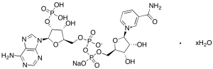 Beta-Nicotinamide Adenine Dinucleotide Phosphate Sodium Salt Hydrate (~90%)