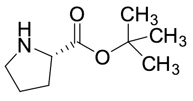 L-Proline tert-Butyl Ester