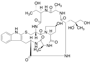Phalloidine