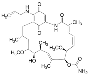17-(Allylamino) Geldanamycin