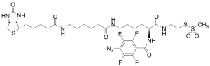 2-[N2-(4-Azido-2,3,5,6-tetrafluorobenzoyl)-N6-(6-biotinamidocaproyl)-L-lysinyl]ethyl Methanethiosulf