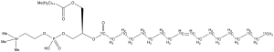 1-Palmitoyl-2-oleoyl-sn-glycerol-3-phosphocholine-13C18