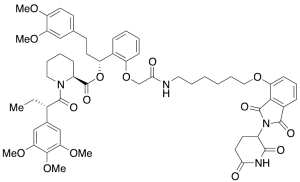 dTAG-13