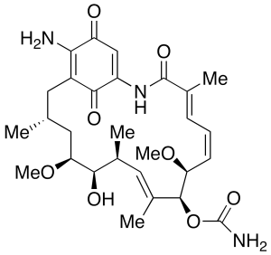 17-Amino Geldanamycin