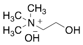 Choline Hydroxide in Methanol Solution (~45% w/w, stabilized with 0.5% Paraformaldehyde)