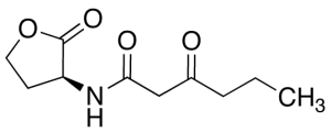 N-(Ketocaproyl)-L-homoserine Lactone
