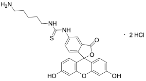 Fluorescein-Cadaverine Dihydrochloride