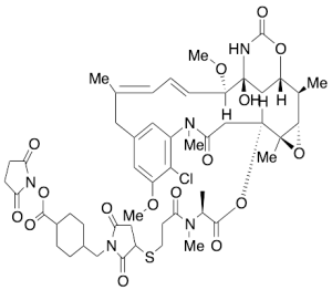 SMCC-DM1