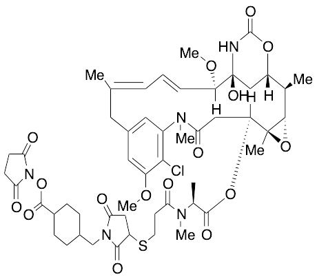 SMCC-DM1