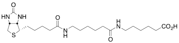 LC-LC(+)-Biotin