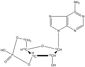 Adenosine-3',5'-cyclic-13C5 Monophosphate