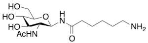 2-Acetamido-N-(e-aminocaproyl)-2-deoxy-Beta-D-glucopyranosylamine
