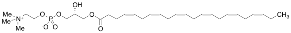 1-Docosahexaenoyl-sn-glycero-3-phosphocholine (>90%)