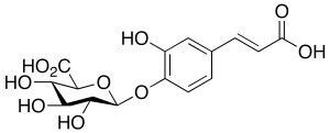 Caffeic Acid 4-beta-D-Glucuronide