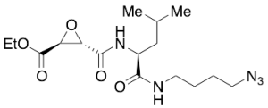 (2S,3S)-3-[[[(1S)-1-[[(4-Azidobutyl)amino]carbonyl]-3-methylbutyl]amino]carbonyl]-2-oxiranecarboxylic Acid Ethyl Ester