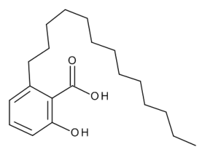 Ginkgolic Acid