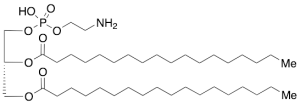 1,2-Distearoyl-sn-glycero-3-phosphoethanolamine