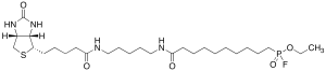 FP-Biotin (Mixture of Diastereomers)