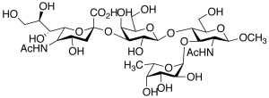 Sialyl Lewis X, Methyl Glycoside