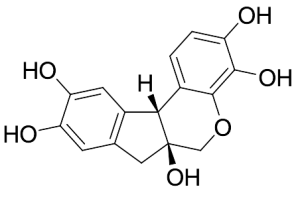 Hematoxylin (Technical Grade)