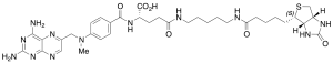 Methotrexate-Cadaverine-Biotin Conjugate