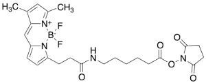 3-Bodipy-propanoylaminocaproic Acid, N-Hydroxysuccinimide Ester