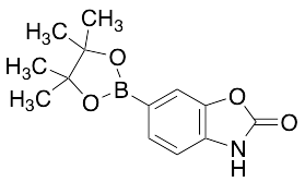 2-Oxo-2,3-dihydrobenzo[d]oxazol-6-ylboronic Acid Pinacol Ester